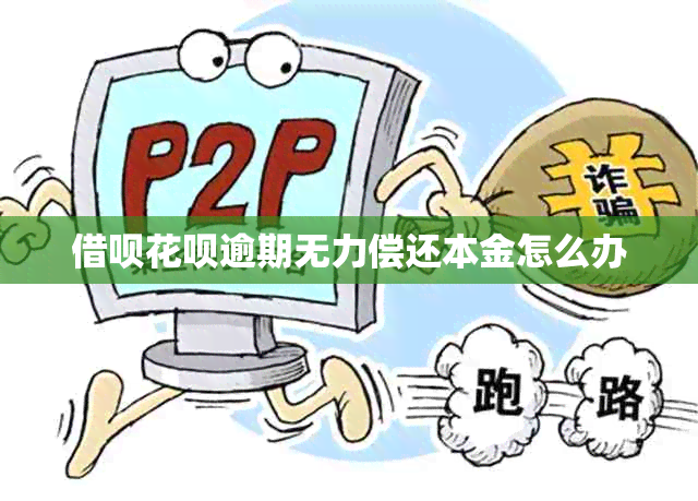 网贷信用卡逾期无力偿还本金怎么办