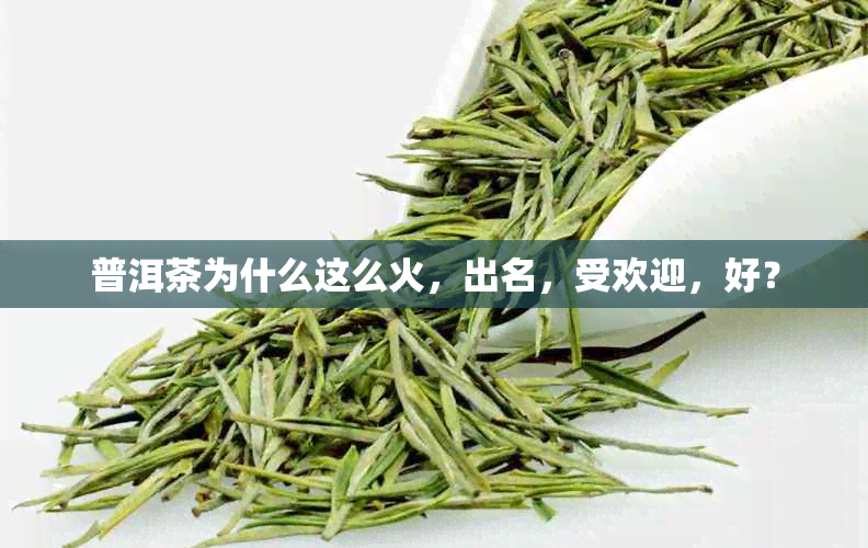 普洱茶为什么这么火,出名,受欢迎,好?