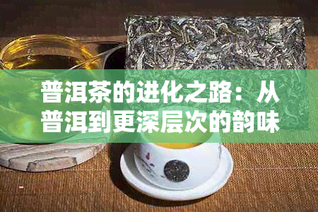 普洱茶的进化之路:从普洱到更深层次的韵味