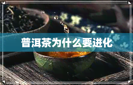 普洱茶为什么要进化 普洱茶为什么要进化