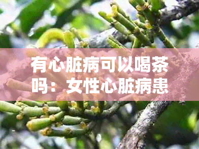 有心脏病可以喝茶吗:女性心脏病患者能饮茶吗?