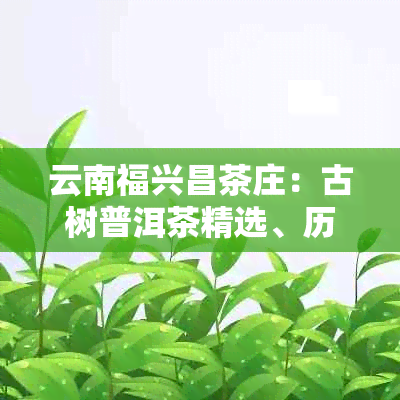 云南福兴昌茶庄:古树普洱茶精选、历史文化传承与品鉴指南