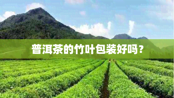 普洱茶的竹叶包装好吗?