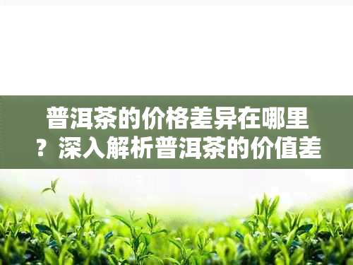 普洱茶的价格差异在哪里?深入解析普洱茶的价值差距