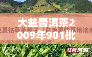 大益普洱茶2009年901批次
