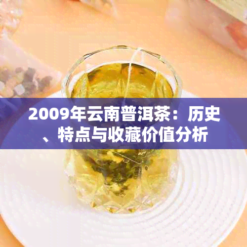 2009年云南普洱茶:历史、特点与收藏价值分析