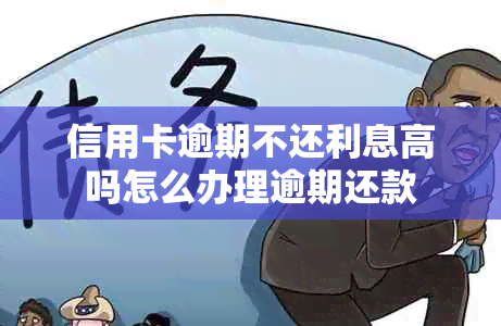 信用卡逾期不还利息高吗怎么办理逾期还款