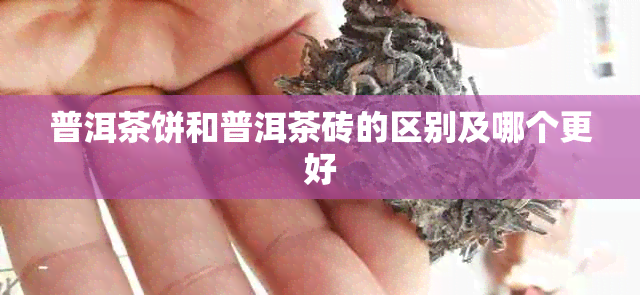 普洱茶饼和普洱茶砖的区别及哪个更好