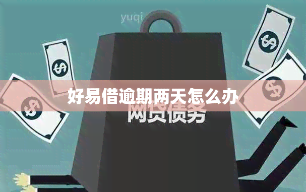 好易借逾期两天怎么办