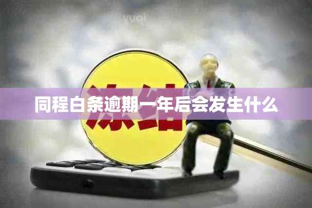 同程白条逾期一年后会发生什么
