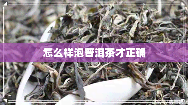 怎么样泡普洱茶才正确 怎么样泡普洱茶才正确