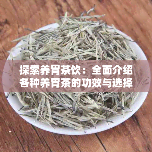 探索养胃茶饮：全面介绍各种养胃茶的功效与选择指南