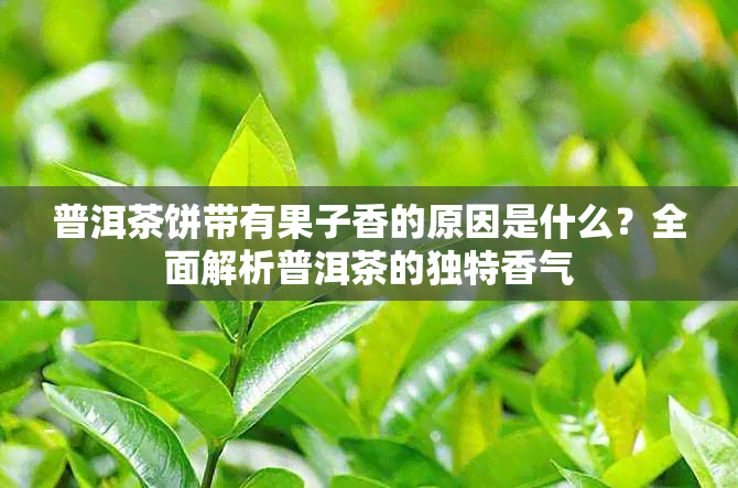 普洱茶饼带有果子香的原因是什么?全面解析普洱茶的独特香气