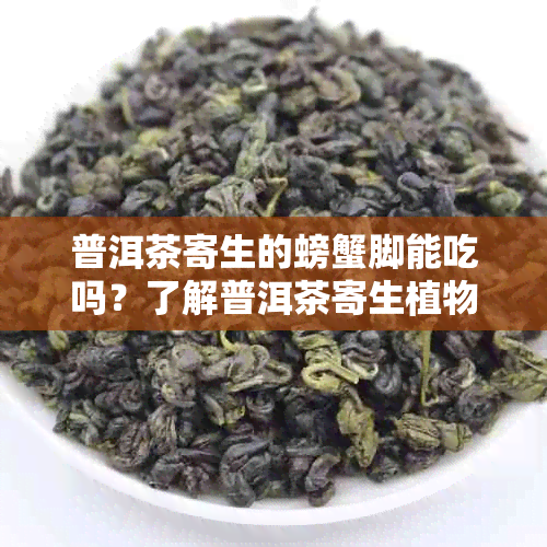 普洱茶寄生的螃蟹脚能吃吗?了解普洱茶寄生植物螃蟹脚
