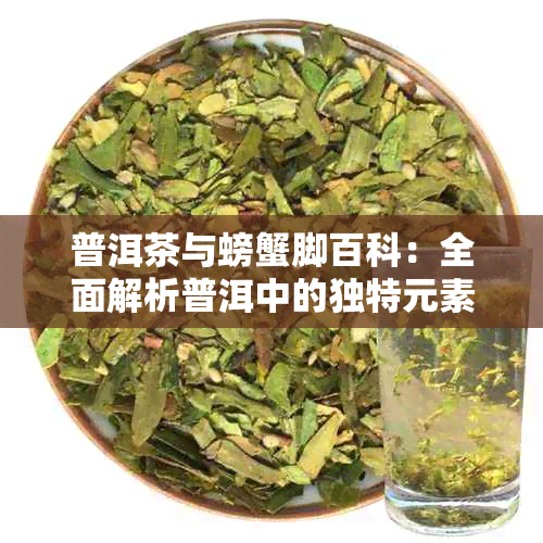 普洱茶与螃蟹脚百科：全面解析普洱中的独特元素