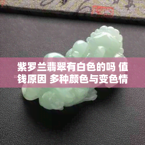 紫罗兰翡翠有白色的吗 值钱原因 多种颜色与变色情况探讨