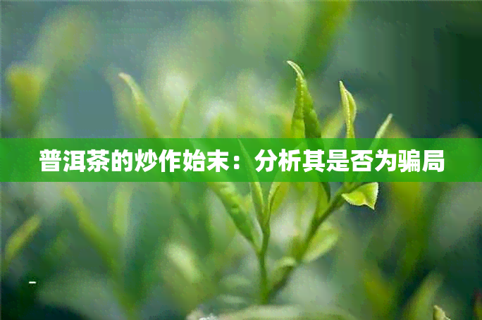 普洱茶的炒作始末:分析其是否为骗局