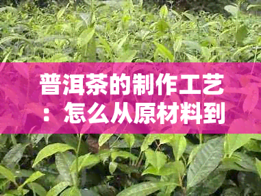 普洱茶的制作工艺:怎么从原材料到成品普洱茶出来