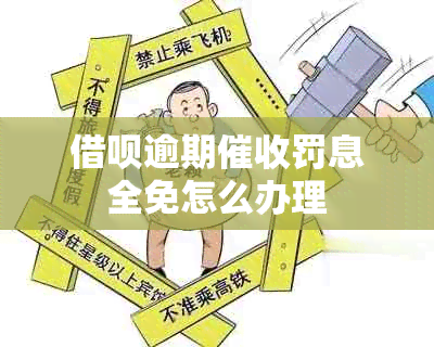 网贷逾期罚息全免怎么办理