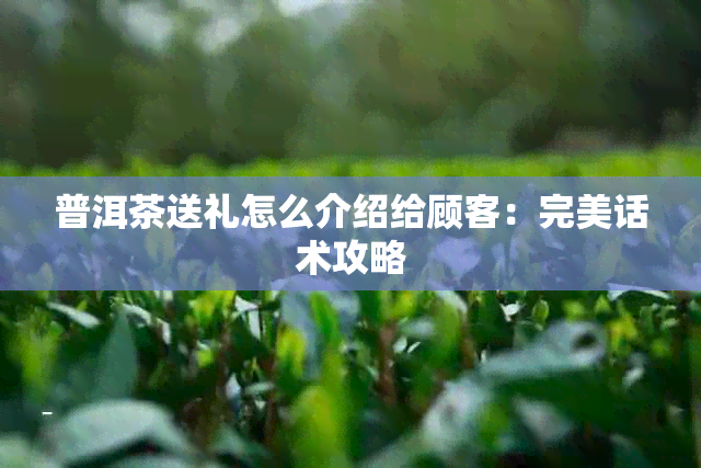 普洱茶送礼怎么介绍给顾客：完美话术攻略
