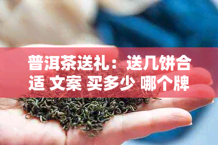 普洱茶送礼：送几饼合适 文案 买多少 哪个牌子好