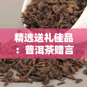 精选送礼佳品：普洱茶赠言与选购指南，全方位解决节日礼品难题