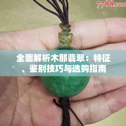 全面解析木那翡翠:特征、鉴别技巧与选购指南