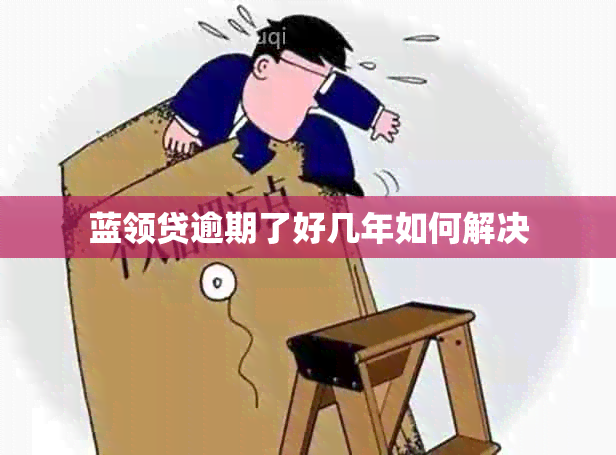 蓝领贷逾期了好几年如何解决