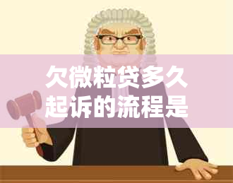 欠微粒贷多久起诉的流程是怎样的