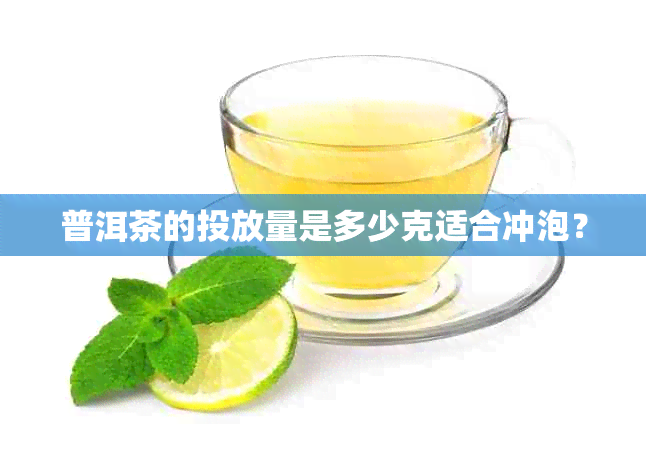 普洱茶的投放量是多少克适合冲泡？