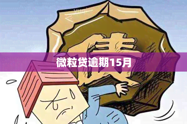 微粒贷逾期15月