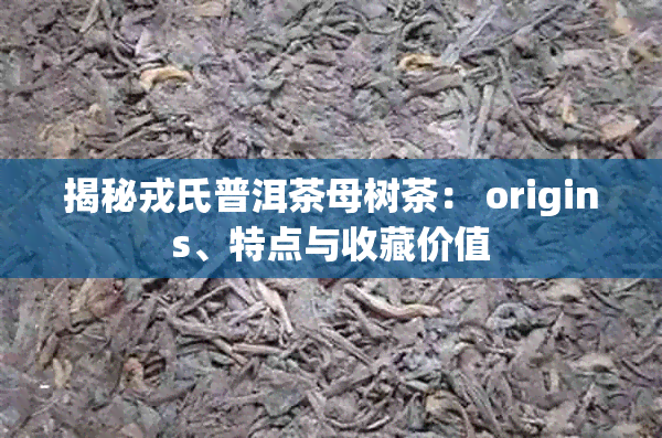 揭秘戎氏普洱茶母树茶： origins、特点与收藏价值