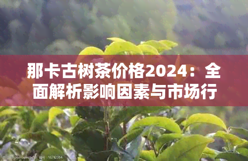 那卡古树茶价格2024：全面解析影响因素与市场行情