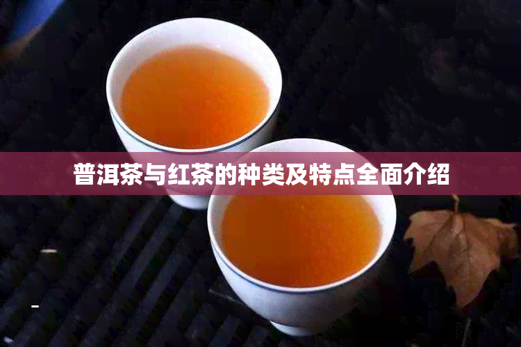 普洱茶与红茶的种类及特点全面介绍