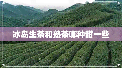 冰岛生茶和熟茶哪种甜一些 冰岛生茶和熟茶哪种甜一些