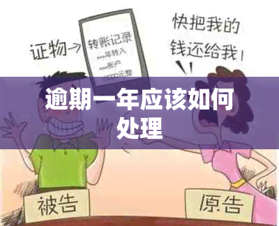 逾期一年应该如何处理