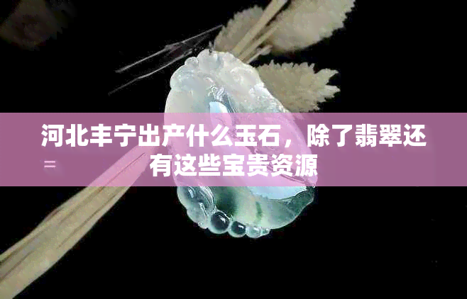 河北丰宁出产什么玉石,除了翡翠还有这些宝贵资源