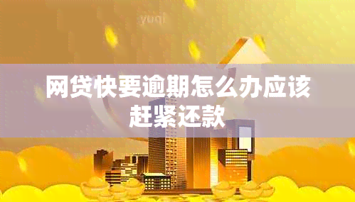网贷快要逾期怎么办应该赶紧还款