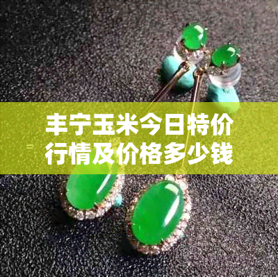 丰宁玉米今日特价行情及价格多少钱一公斤
