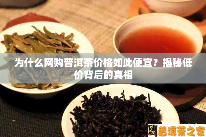 为什么网购普洱茶价格如此便宜？揭秘低价背后的真相