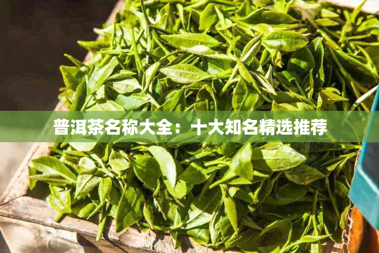 普洱茶名称大全:十大知名精选推荐