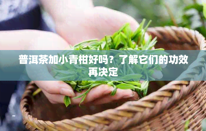 普洱茶加小青柑好吗?了解它们的功效再决定