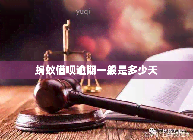 蚂蚁网贷逾期一般是多少天