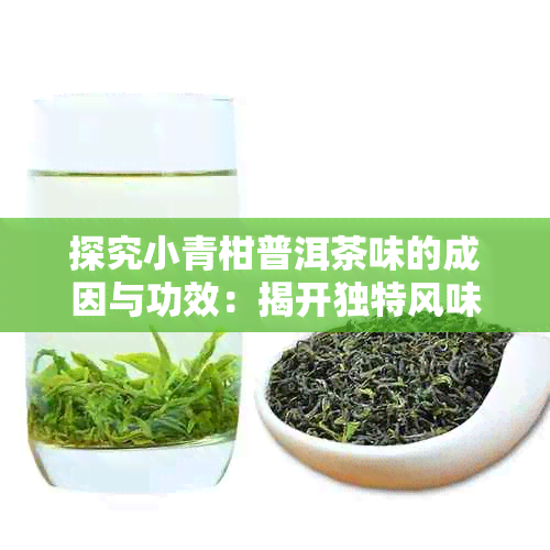 探究小青柑普洱茶味的成因与功效:揭开独特风味背后的秘密