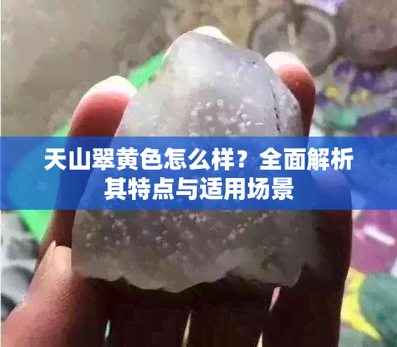 天山翠黄色怎么样?全面解析其特点与适用场景