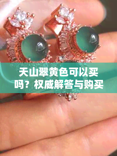 天山翠黄色可以买吗?权威解答与购买指南