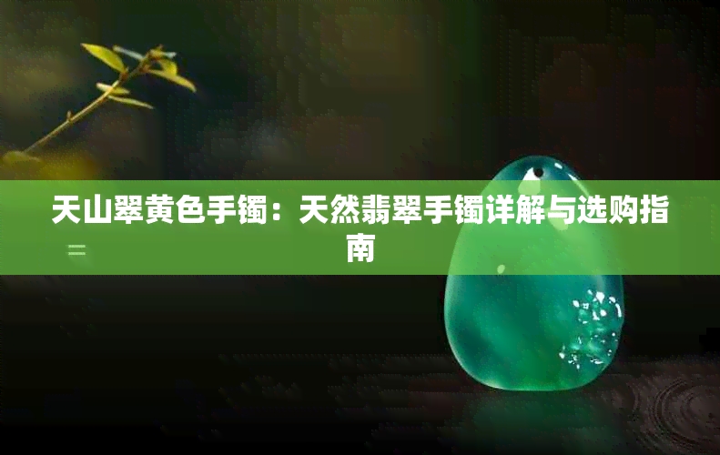天山翠黄色手镯:天然翡翠手镯详解与选购指南