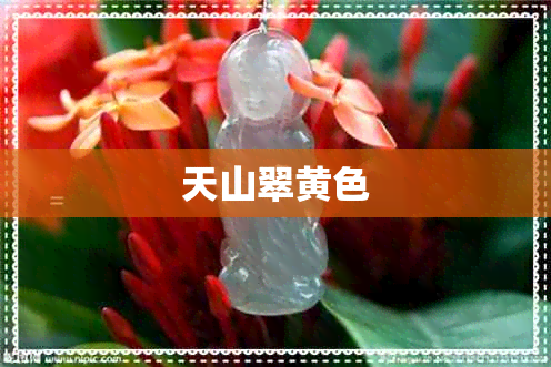 天山翠黄色 天山翠黄色