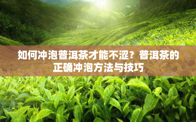 如何冲泡普洱茶才能不涩？普洱茶的正确冲泡方法与技巧