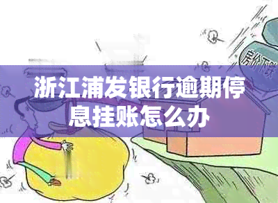 浙江浦发银行逾期停息挂账怎么办